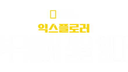 익스플로러: 북극에서 길을 잃다