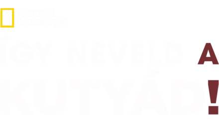 Így neveld a kutyád!