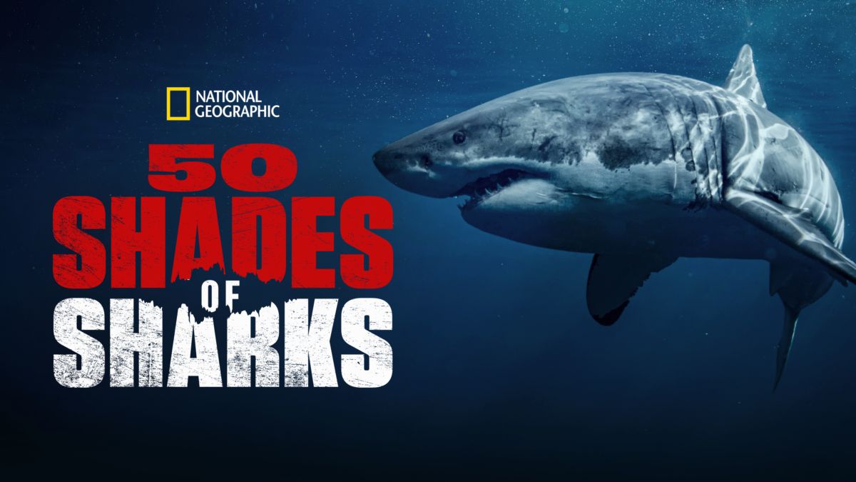 Game of Sharks - Disney+