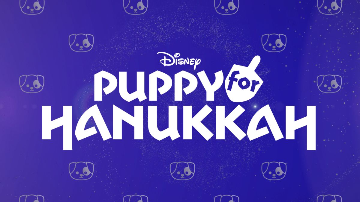 Puppy for hanukkah new arrivals