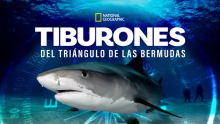 thumbnail - Sharks of The Bermuda Triangle