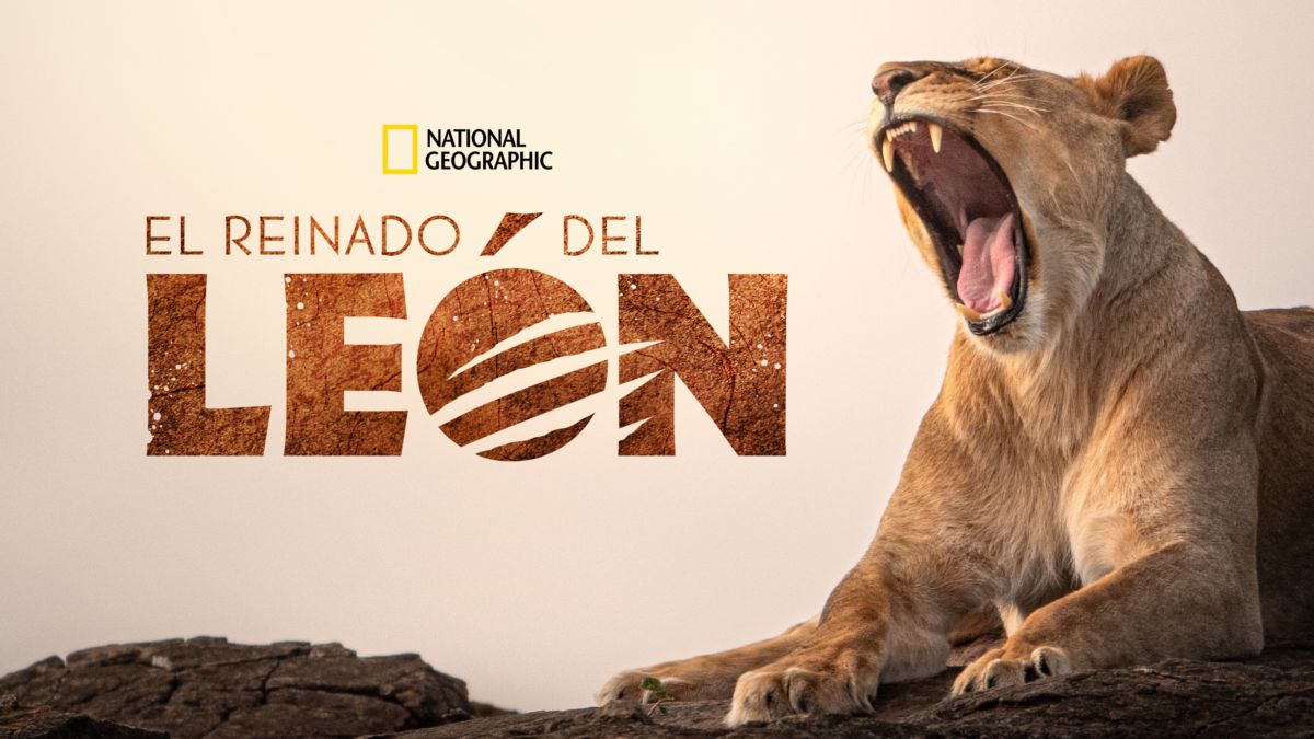 Ver los episodios completos de Territorio de leones | Disney+