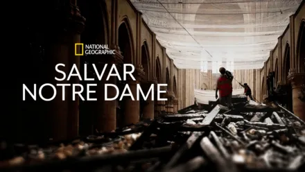 thumbnail - Salvar Notre Dame