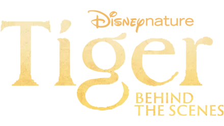 Tiger – Behind the scenes