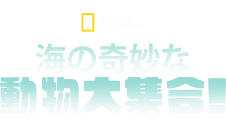 海の奇妙な動物大集合！