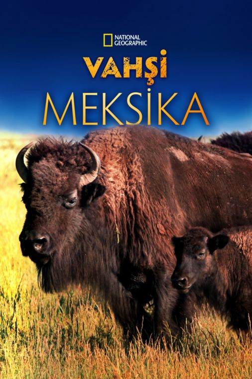 Vahşi Meksika_tr 6