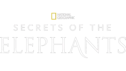 Secrets of the Elephants