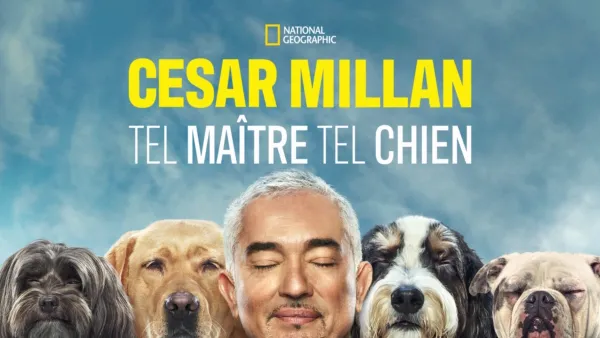 thumbnail - Cesar Millan : tel maître, tel chien