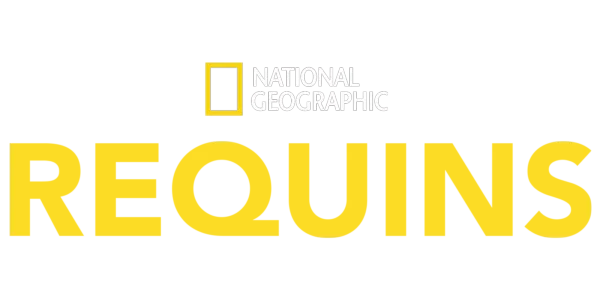 National Geographic : Requins Title Art Image