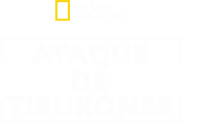 Ataque de tiburones