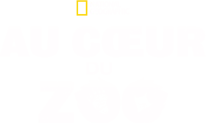 Au cœur du zoo