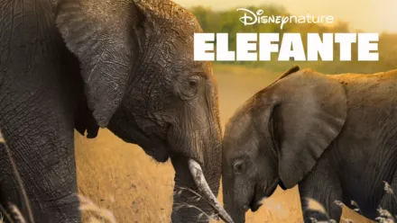 thumbnail - Elefante