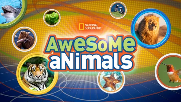 thumbnail - Awesome Animals