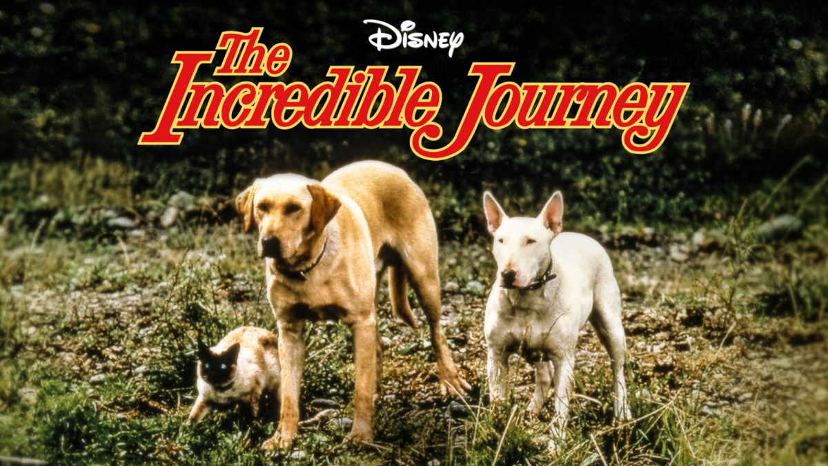 is incredible journey a disney movie