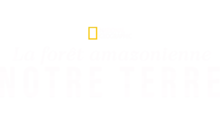 La forêt amazonienne : notre terre