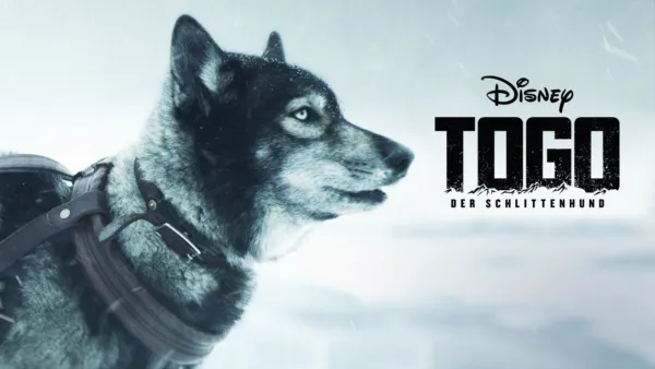 thumbnail - Togo: Der Schlittenhund