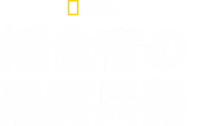 捕食者の最終兵器