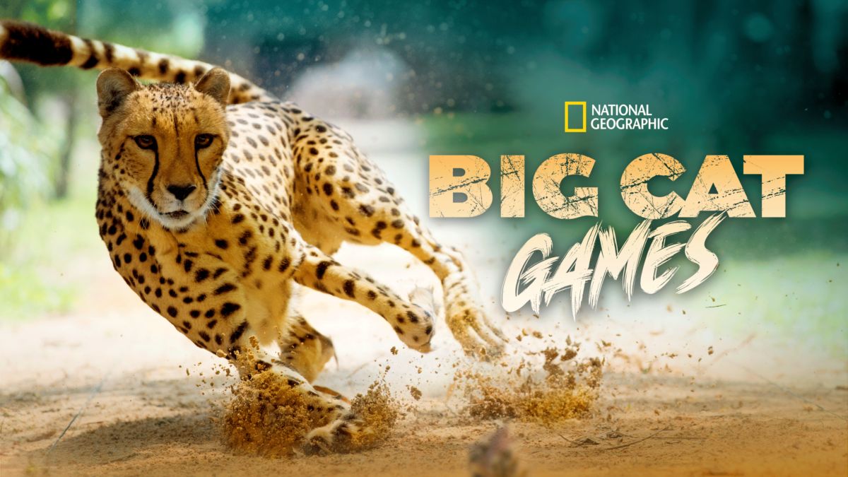 Watch Big Cat Games | Full Movie | Disney+