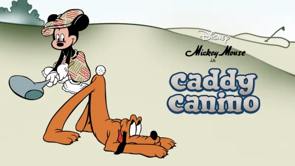 thumbnail - Caddy canino