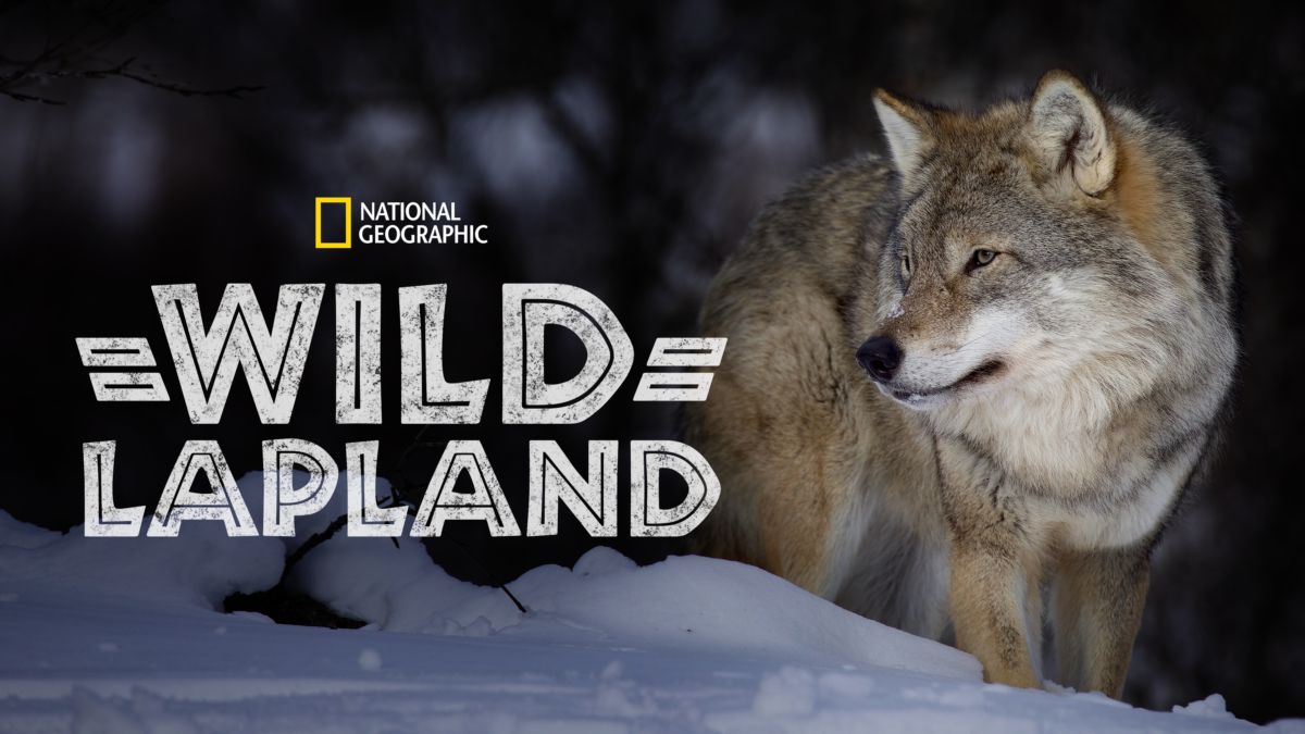 Watch Wild Lapland Full movie Disney+