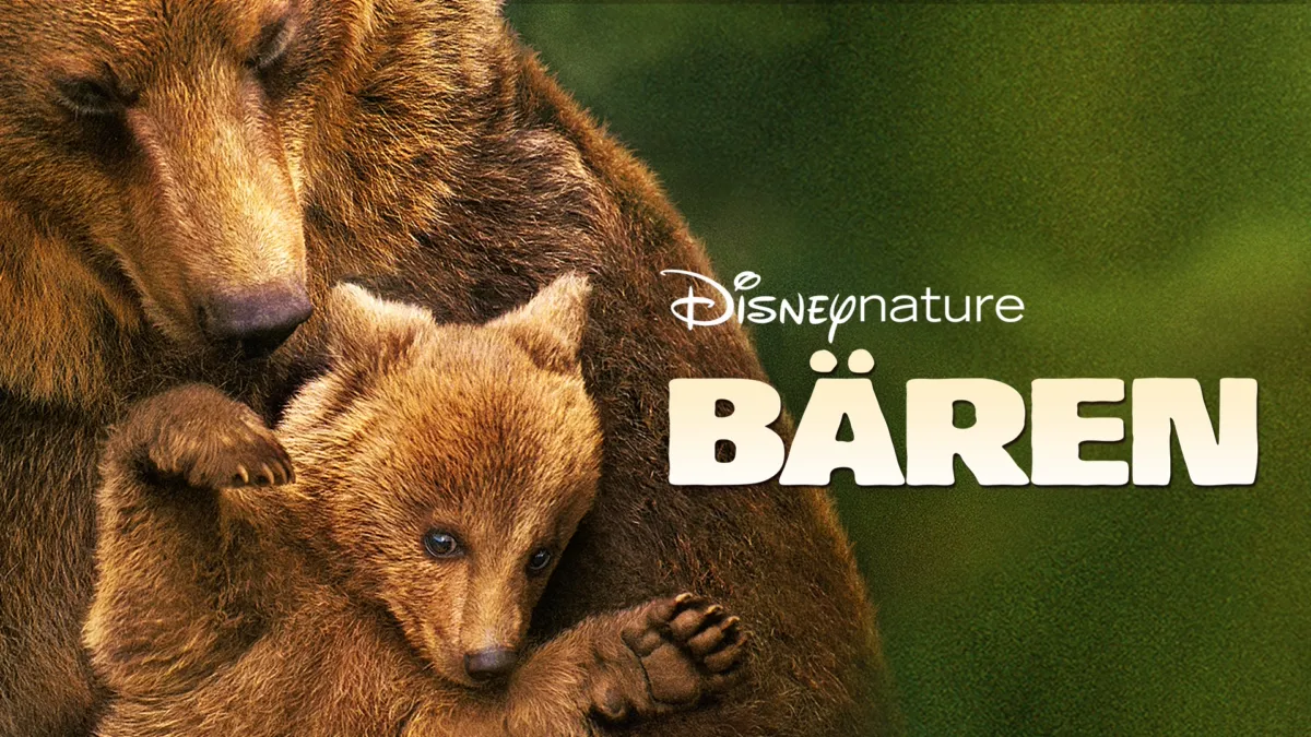 Bären ansehen Disney+