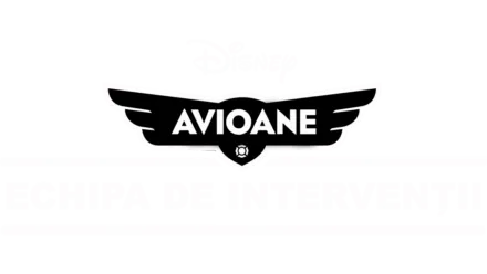 Avioane: Echipa de intervenţii