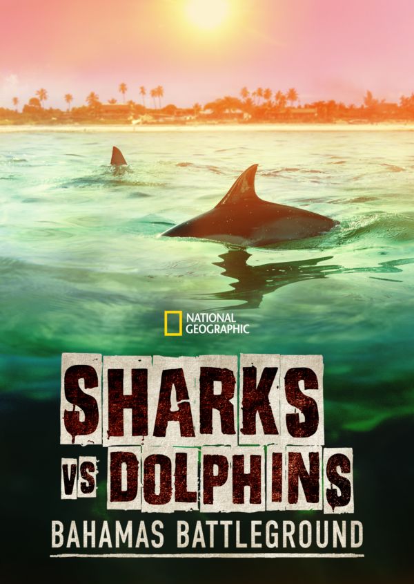 Sharks vs. Dolphins: Bahamas Battleground on Disney+ US