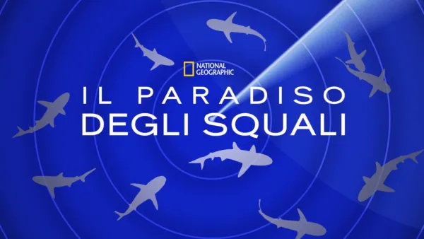 thumbnail - Il paradiso degli squali