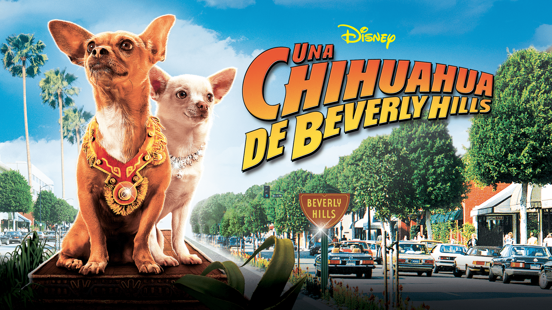 Ver Una Chihuahua De Beverly Hills | Película Completa | Disney+