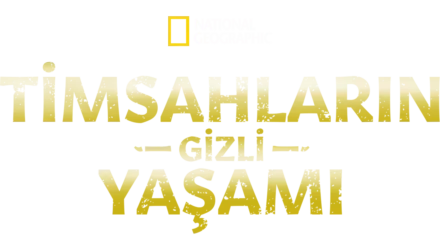 Timsahların Gizli Yaşamı