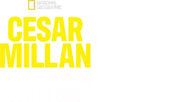 Cesar Millan - bättre människa, bättre hund