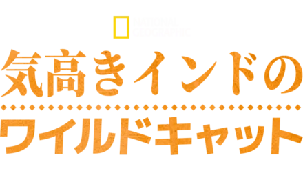 気高きインドのワイルドキャット