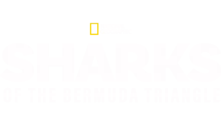 Sharks Of The Bermuda Triangle