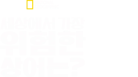 세상에서 가장 위험한 상어는?