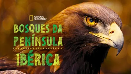 thumbnail - Bosques da Península Ibérica