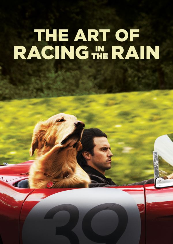 The Art of Racing in the Rain on Disney+ ES