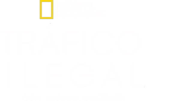 Tráfico ilegal con Mariana Van Zeller