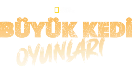 Büyük Kedi Oyunları