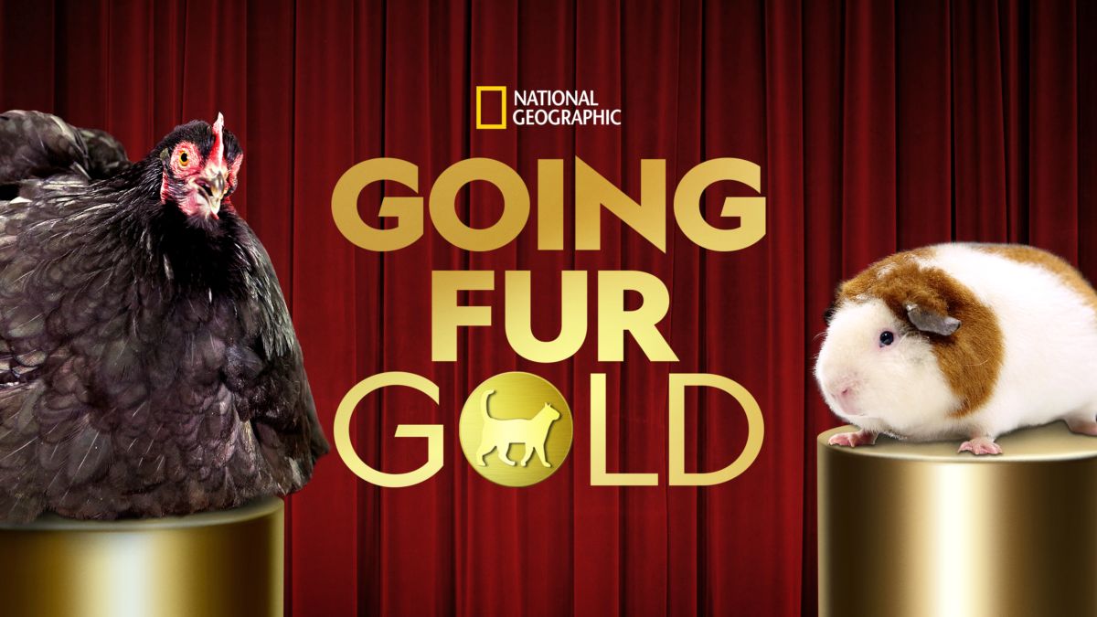 Titta på Going Fur Gold | Hela avsnitt | Disney+
