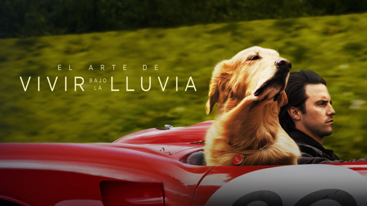 Ver El arte de vivir bajo la lluvia Película completa
