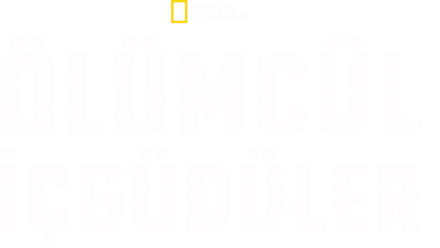 Ölümcül İçgüdüler