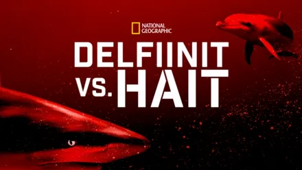 thumbnail - Delfiinit vs. hait