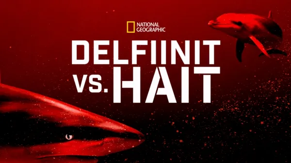 thumbnail - Delfiinit vs. hait