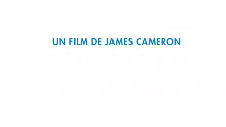 Énigmes des profondeurs