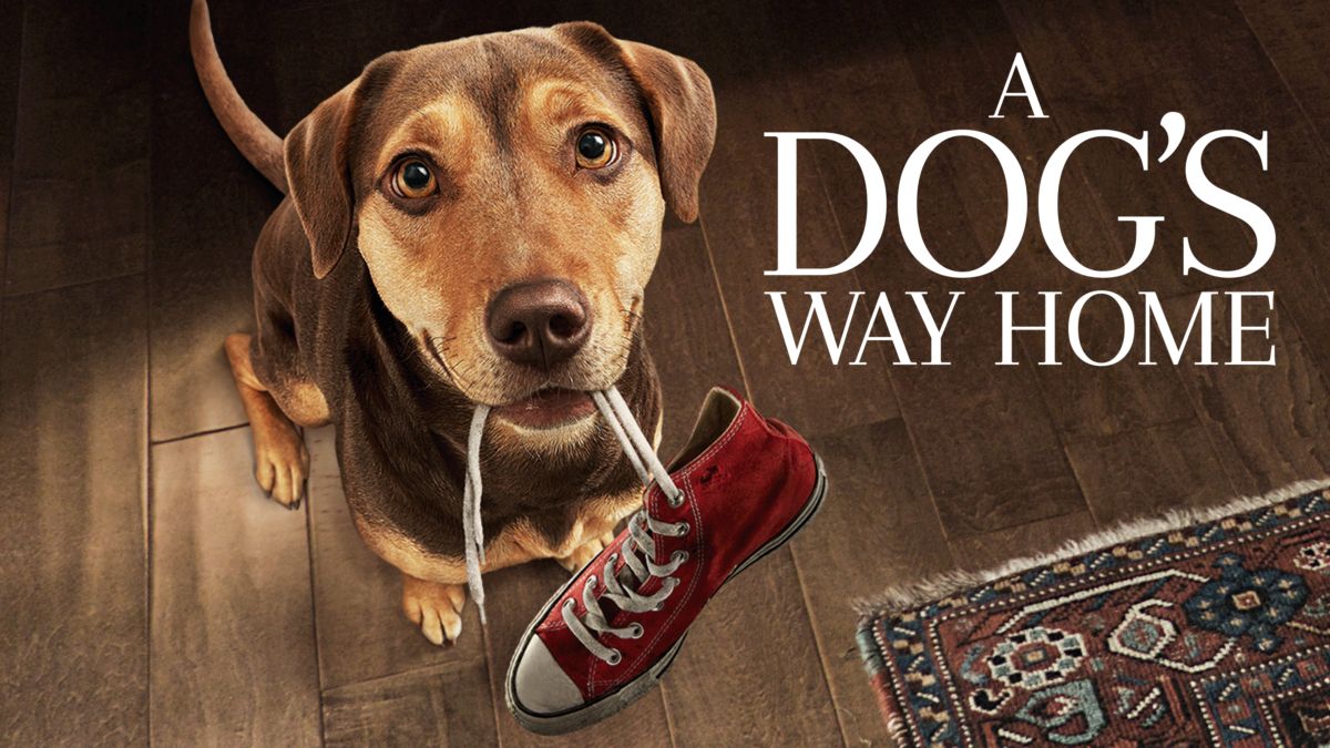 A Dog s Way Home A Dog's Way Home | Disney+