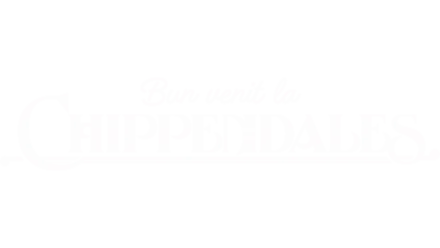 Bun venit la Chippendales