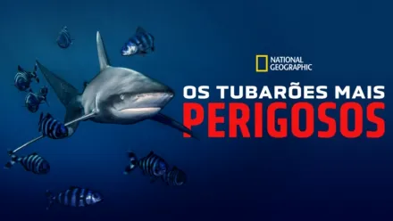 thumbnail - Os Tubarões Mais Perigosos