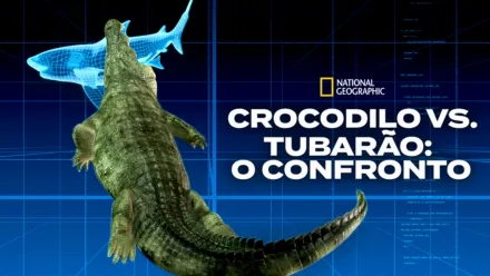 thumbnail - Crocodilo vs. Tubarão: O Confronto