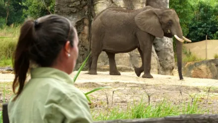thumbnail - 디즈니 애니멀 킹덤의 행복한 동물 세상 S1:E2 특이한 기린 케냐