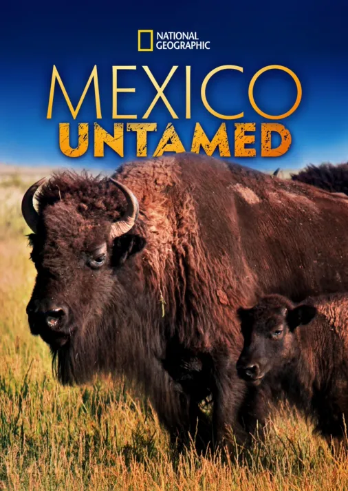 Watch Mexico Untamed | Full episodes | Disney+